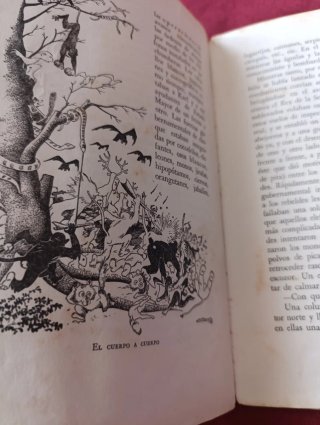 Antiguo libro 1943, "guerra en la selva"