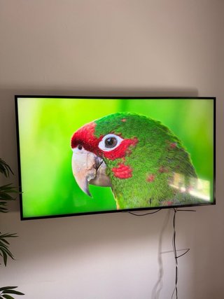 TV 50 4K UHD Smart TV Serie con todo para empotrar