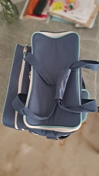 Nevera portátil Picnic Boomerang Ice Azul