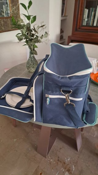 Nevera portátil Picnic Boomerang Ice Azul