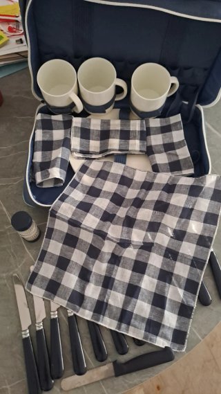 Nevera portátil Picnic Boomerang Ice Azul
