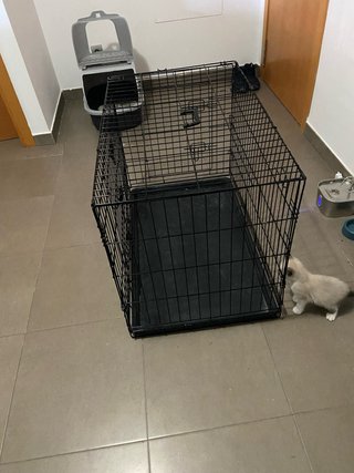 Jaula para perros o gatos