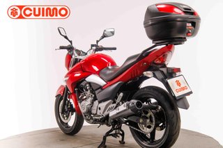 SUZUKI INAZUMA 250