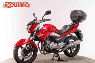 SUZUKI INAZUMA 250