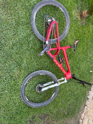 Bicicleta FOCUS roja