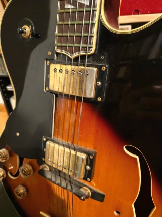 Washburn J-6 Guitarra Semicaja