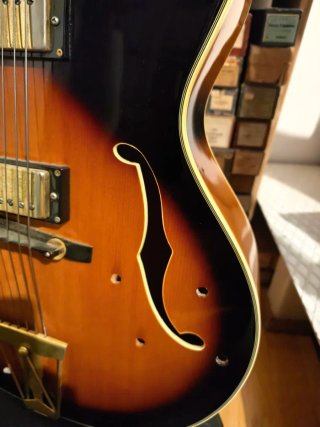 Washburn J-6 Guitarra Semicaja