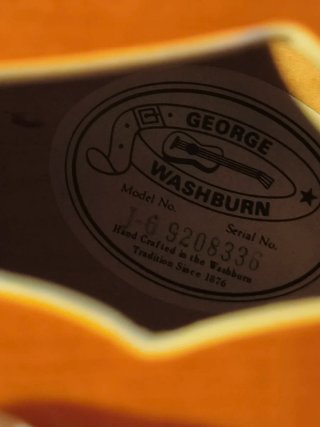 Washburn J-6 Guitarra Semicaja