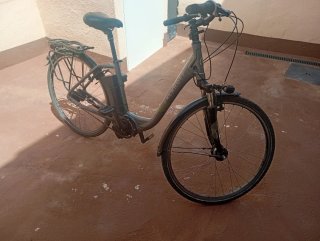 Bicicleta Eléctrica Raleigh 250W