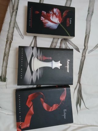 Libros de crepusculo, falta uno.