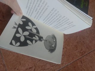 Lote libros juvenil