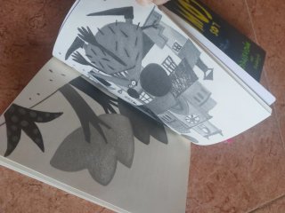 Lote libros juvenil