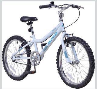 2 Bicicletas Wildtrak 20 Casi Nuevas