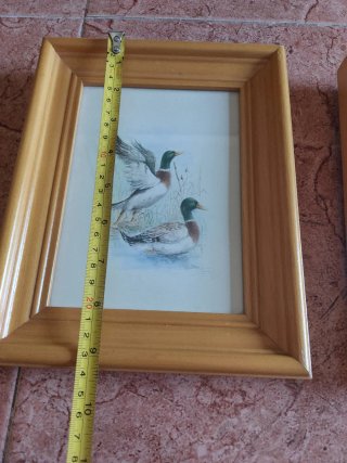 Cuadros de pájaros en madera
