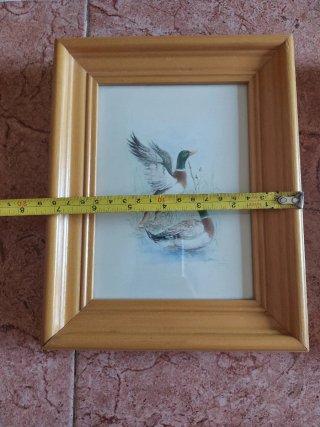Cuadros de pájaros en madera