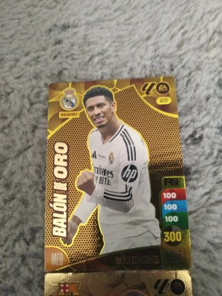 Colección Cartas Fútbol Panini
