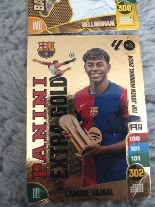 Colección Cartas Fútbol Panini
