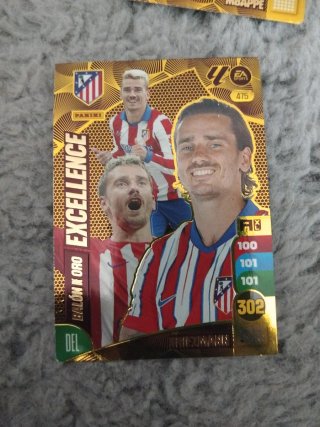 Colección Cartas Fútbol Panini
