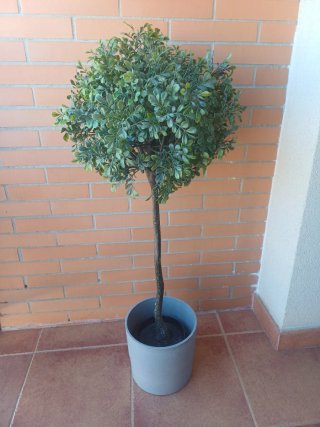Árbol artificial boj 95cm + macetero Ikea