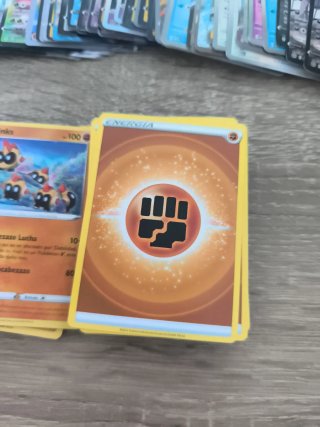 Lote y Álbum Pokemon