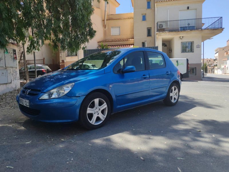 Peugeot 307 2004 - foto 1