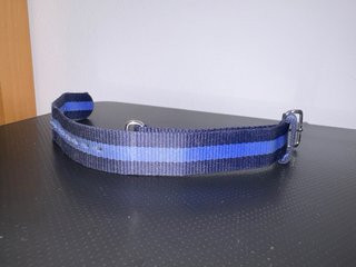 Correa Daniel Wellington azul oscuro y eléctrico