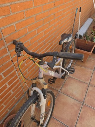 Bicicleta niña 8-12 años