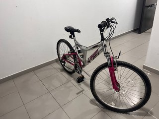 Bicicleta 24”
