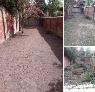 Servicio de jardinería profesional