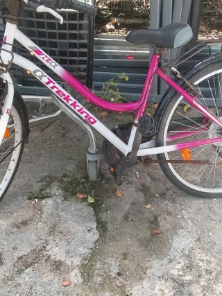 Bicicleta Trekking Alpha 260