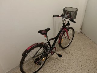 Bicicleta con cesta y guardabarros