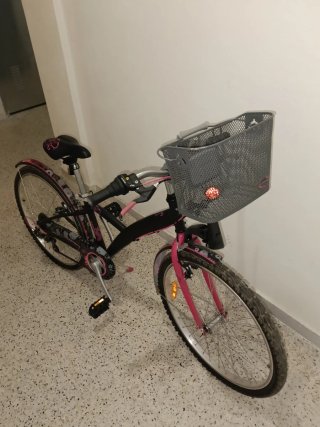 Bicicleta con cesta y guardabarros
