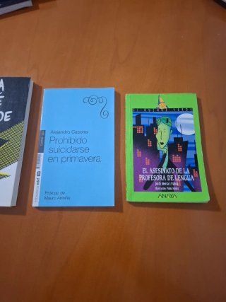 Nunca seré tu héroe