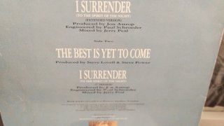 Lote Vinilos Samantha Fox: I Surrender, Love House
