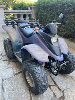 Quad Dinli 50cc