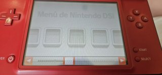 Nintendo DS XL