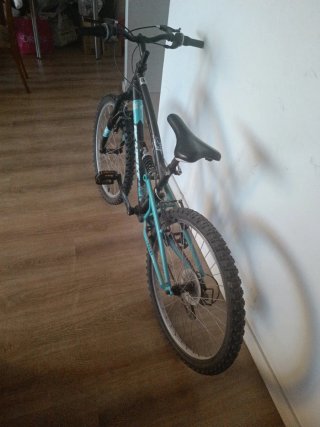 Bicicleta Dembike (Si queréis en efectivo ok)