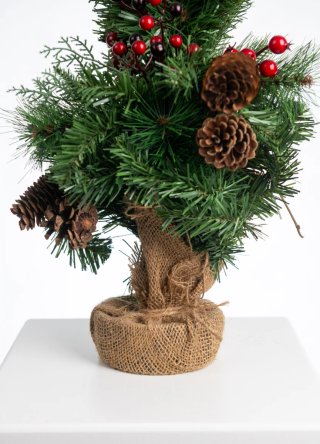 Árbol Decoración Atrezzo Fotografía