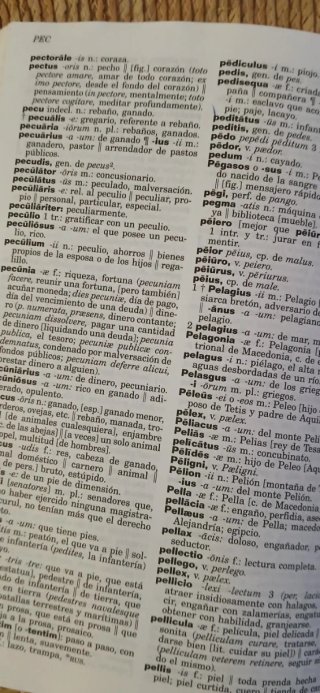 diccionario_illustrado_latino_espanol_vv