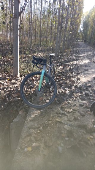 Orbea Terra M31 Team Gravel Bike