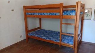 Litera de pino