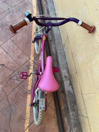 Bicicleta infantil Dunlop morada