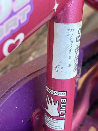 Bicicleta infantil Dunlop morada