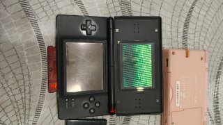 2 Nintendo DS Lite funzionanti