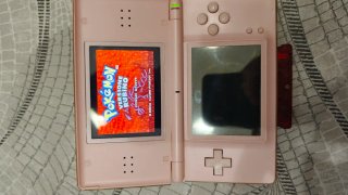 2 Nintendo DS Lite funzionanti