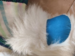 Oso de peluche grande