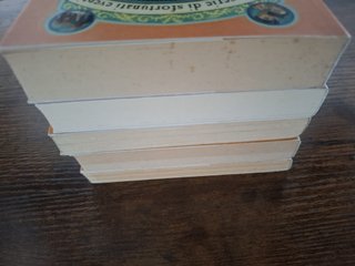 Lemony Snicket - Una serie di sfortunati eventi