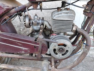 Ardilla 125 rigida