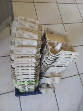 Contenitori cartone per uova