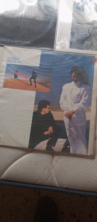 Lote 5 Vinilos Indie/Pop Rock